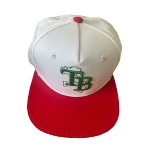 RARE Tampa Bay Rays Italian Heritage Snapback Hat Red Green White NEW 2025